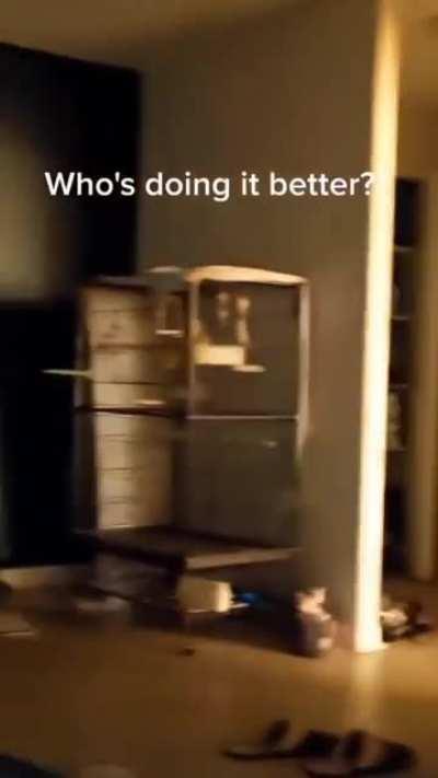 Ele todo fofinho pulando