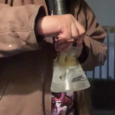 🙏 my favorite band tee