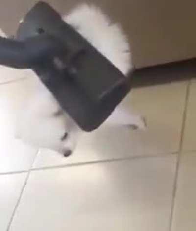 LiTtlE CloUd GeTs ABsoRbed bY DeADly MaCHine