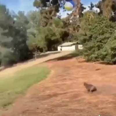 Go on son, you got this.