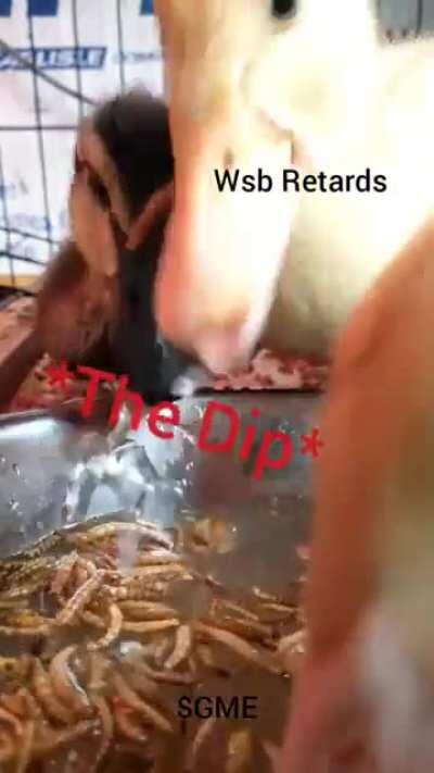 When it Dips (courtesy of my duckies)