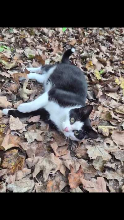 I was told to just shoot them. Now they’re fixed, thriving, and just need warmth.