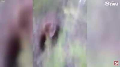 Russian guy kicks a bear