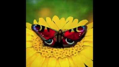 Chill with us on Discord