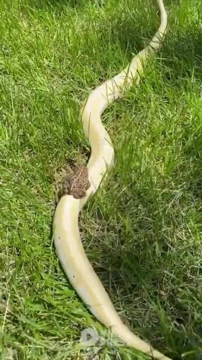 Keep your friends close and enemies closer