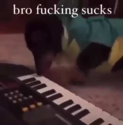 New elp song just dropped 🤯