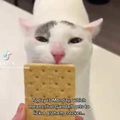 Came to steal memes, so have this in exchange