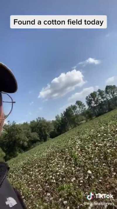 He said that with his whole chest