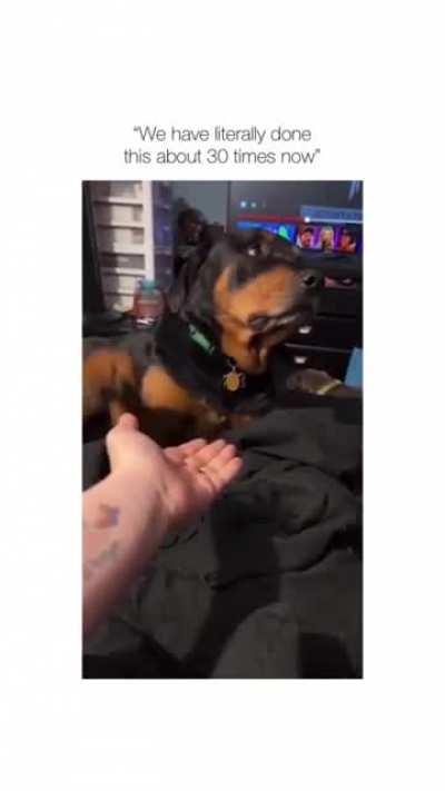 The EYE roll🙄🤣