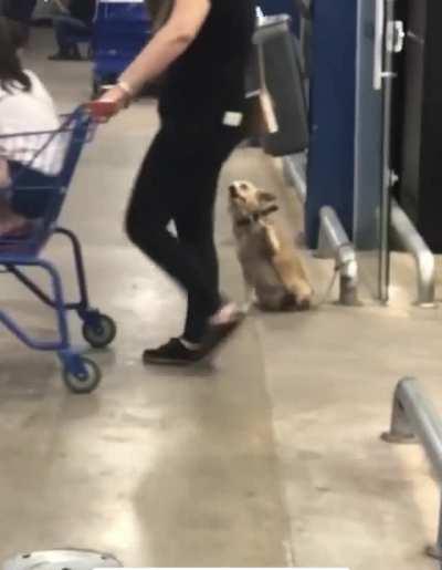 The most adorable greeter.