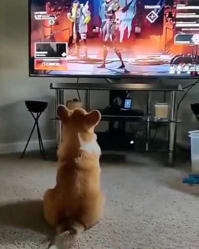 No spoiler in the title!