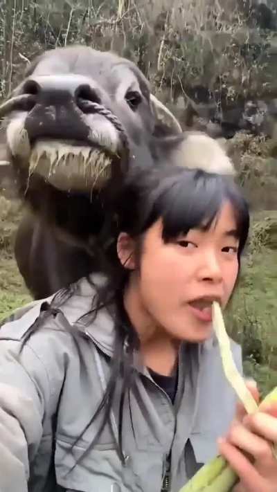 Just a girl feeding sugarcane to her funny looking dog