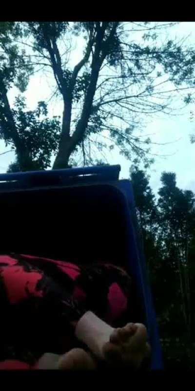 He paid 960$ for this? She's cute and popular but wtf lol.