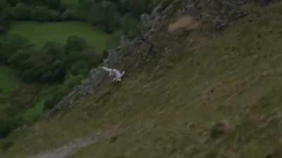 WCGR riding my bike down a mountain
