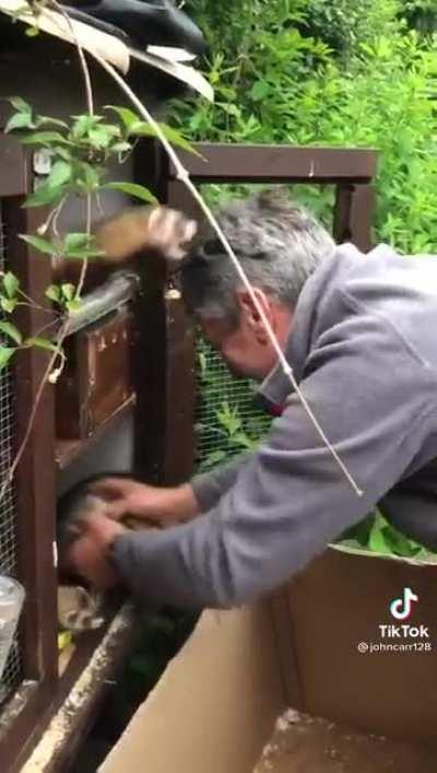 The funniest type of don’t help just film