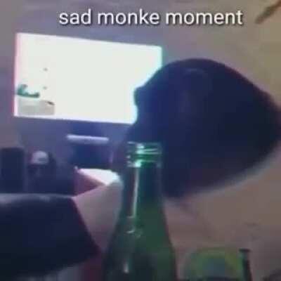 Sad monkey. 💔