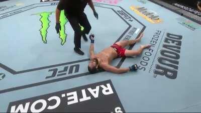 Kamaru Usman knocking out Masvidal