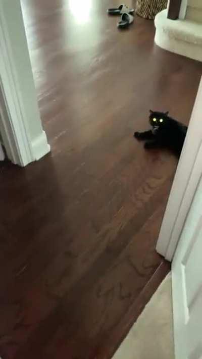 I believe this belongs here…