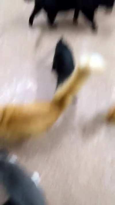 The best way to start a day