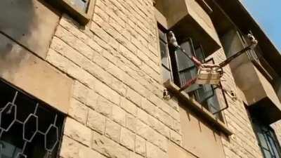 sus bhai ka Cameo in 3 idiots