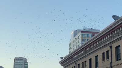 Can anyone explain this behavior?