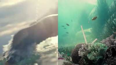 o cara vir uma trap isso é para o público infantil ?