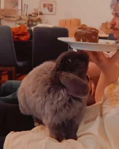 Violet doesn’t understand that not all snacks are for her 🤦‍♀️