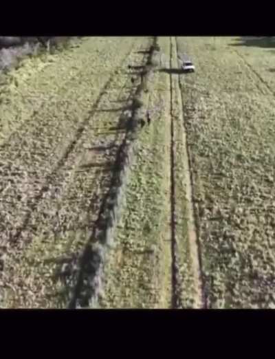 Nena de 3 años estaba extraviada en el monte pampeano y fue encontrada utilizando tecnología drone, más de 60 personas participaron de la búsqueda