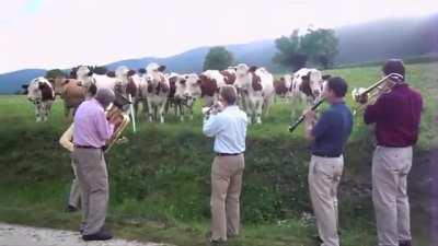 Será que a Jennifer curtiria um Jazzinho ? AlienPls