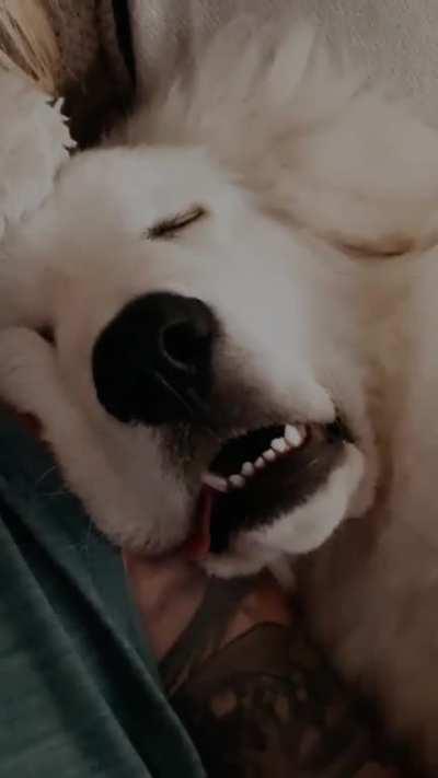 Wait for itâ¦â¦