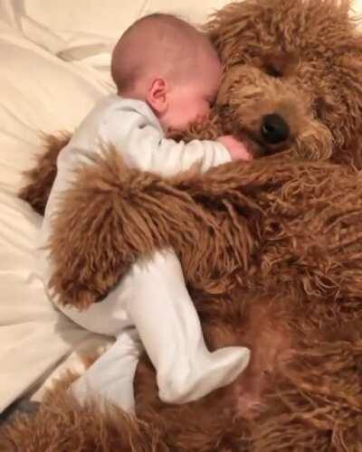 Baby hugs fluffy puppers