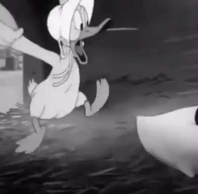 Posting SFW videos I found in NSFW Discord channels Day 100