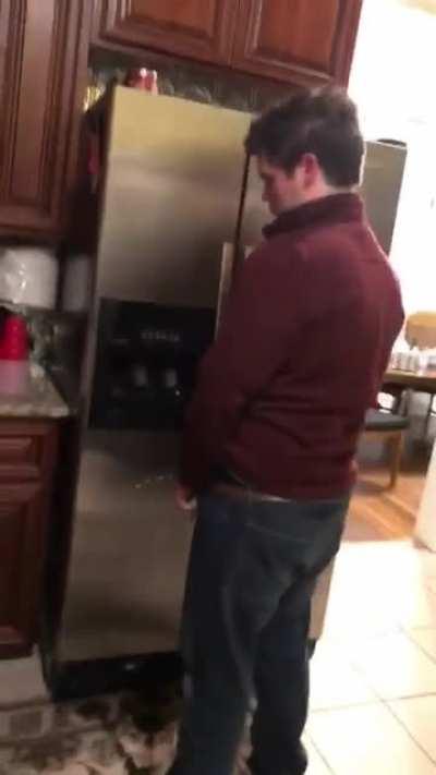 Sleep-walking/Peeing on the fridge