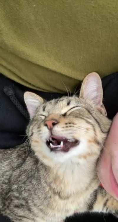 My boy passed out chewing on a thumb