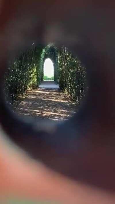 Peering through the Aventine keyhole in Rome, Italy.