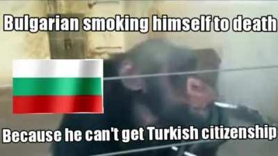 Stupit mongolo🤣🤣