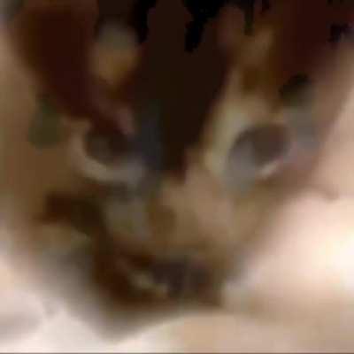 a truly hellish creature