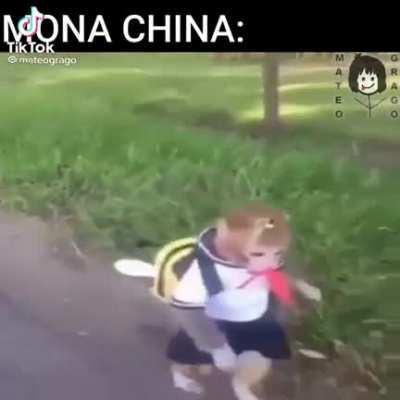 Con esto se pajea orscock?