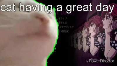 cat do be having a great day tho