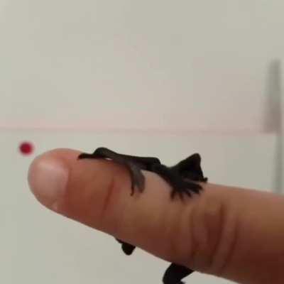 I am the night! Fear me!