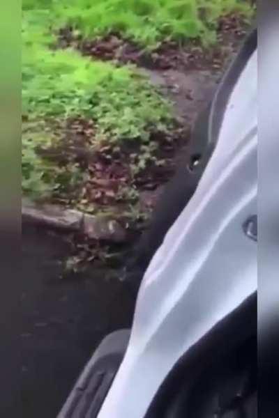 WCGW - When trying to catch a cab after hitting the pubs?