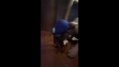 Wow This Cat is So.... Hold Up is that the Fast Zombie from hit pc game Halve-Live Two released in 2004...