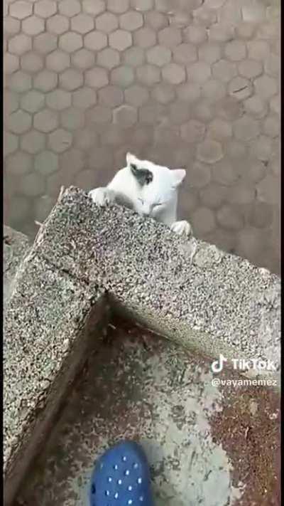 Cambio la Historia :o