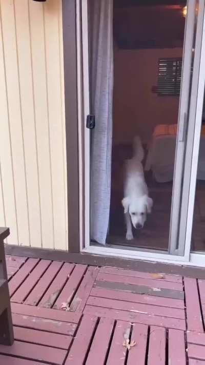 Expectations vs. Reality