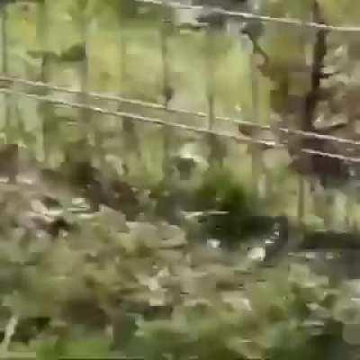 Bird is having none of his shit