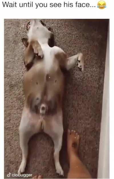 Derp-o-meter has broken with overuse