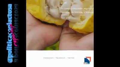 Pa que le agarren más coraje al viejito