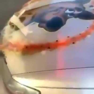 I got the SHAGGY Whip HMU for a scoop