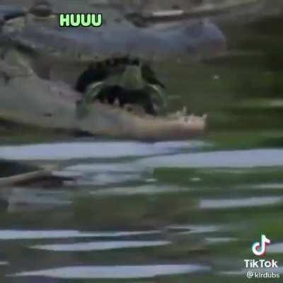 Dont touch my tail >:(