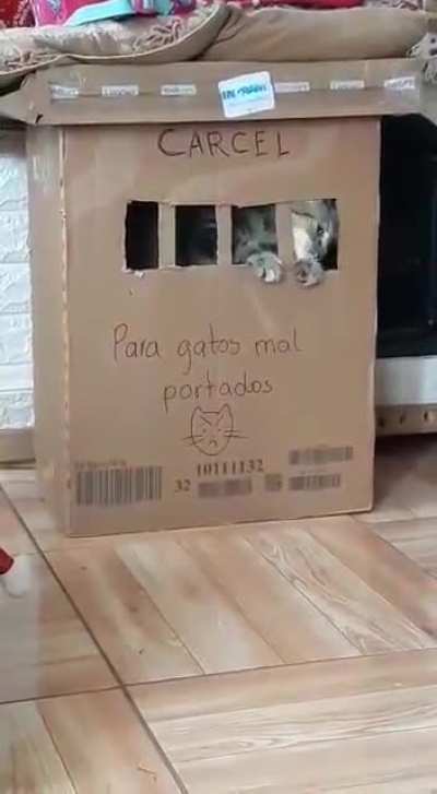 NÃOOOOOOOOOOOOOOOOO